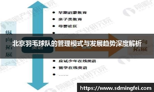 北京羽毛球队的管理模式与发展趋势深度解析