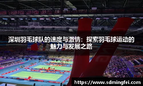 深圳羽毛球队的速度与激情：探索羽毛球运动的魅力与发展之路
