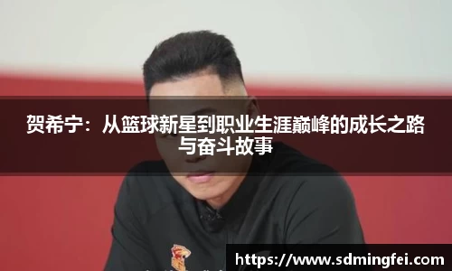 贺希宁：从篮球新星到职业生涯巅峰的成长之路与奋斗故事