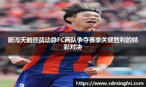 新泻天鹅迎战动静FC两队争夺赛季关键胜利的精彩对决