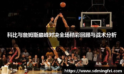 足球直播